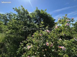 Terrain 26 139 m² Auvillar