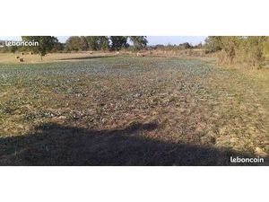 Terrain constructible en partie