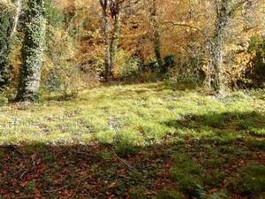 Grundstück in Moresnet-Chapelle zu verkaufen