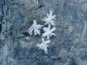 Loue petit appartement cosy 42m2 à Rabastens