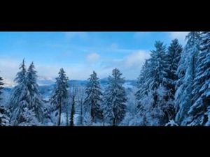 Maison 7 pièces 130m2 sur 2.6 hectares et dépendances