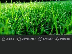 Terrain hors lotissement constructible