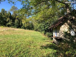 Terrain boisée avec prairie