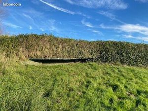 Hutte de chasse à vendre