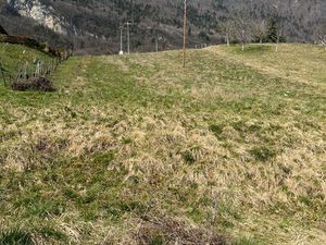 Terrain constructible Mercury