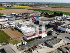 Local d'activité 342 m²