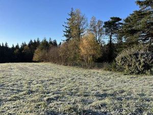 Terrain constructible viabilisé à vendre