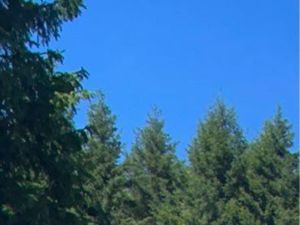 5000 mètres carrés de terrain constructibles