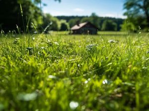 Vente terrain 1700 m² à Seilhac (19700)  17 000 €