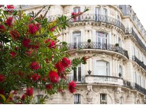 Terrain 500 m² Montpellier