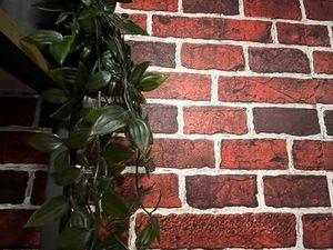 Location gérance boutique textile homme