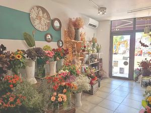 Vente locaux professionnels 30 m² à Saint-Chinian (34360)  47 000 €