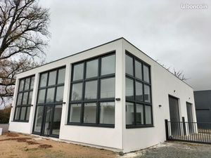 Locaux commerciaux/professionnels + dépôts