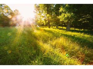 Vente terrain 1699 m² à Chasteaux (19600)  40 000 €