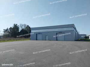 Local d'activité 915 m²