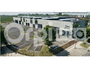 Local d'activité 363 m²