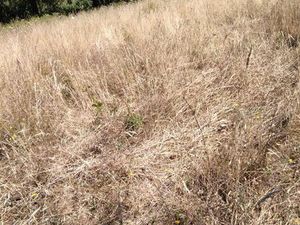 Loue terrain agricole