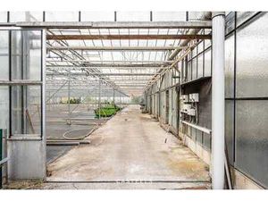 Serre op agrarische grond met logistieke toegangsweg