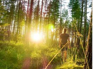 WATERMAEL BOITSFORT - REZ DE CHAUSSEE D'EXCEPTION A VENDRE