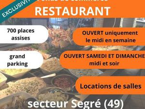 Vente Bureaux et commerces à Segre (49500) : à vendre / 1800m² Segre