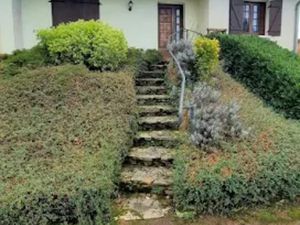 Location maison 6 pièces 127 m² à Saint-Martin-en-Bresse (71620)  920 €