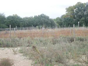 Terrain agricole   non constructible  non viabilisé