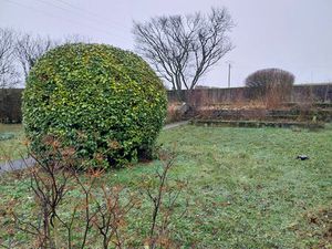 Terrain Serpaize 910 m2