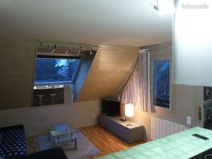 DUPLEX 35m² Meublé Menthon Saint Bernard