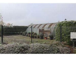 Plantenkwekerij te koop te Zwevegem