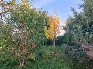 Vente terrain La Rochelle