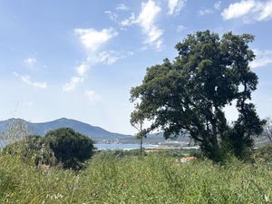 Vente terrain 746 m² Albitreccia (20166)