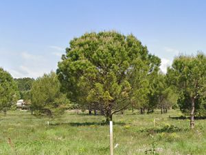 Vente maison neuve 85 m² à Caromb (84330)  290 000 €