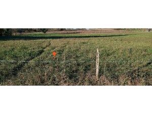 Terrain à bâtir à Peujard (33240)