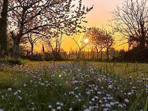 Vente terrain 1300 m² Coutras (33230)