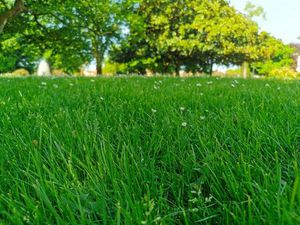 Vente terrain 400 m² Hourtin (33990)