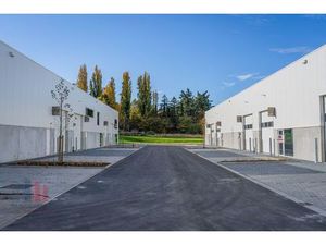 Surface industrielle à louer à Piepelboomstraat 86 Tienen (RBU76758)