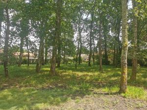 Vente terrain 1034 m² Audenge (33980)