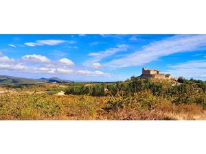 Vente terrain 10695m2 Montalba-le-Château 66130 - 19000 € - Surface Privée