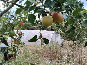 Maison à vendre à Rue des Tilleuls 450 Doische (VWD15782)