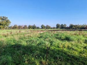 Terrain Saint Andre Sur Vieux Jonc 679 m2