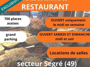 Vente commerce 1800 m² Segré-en-Anjou Bleu (49500)