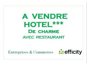 Vente local commercial