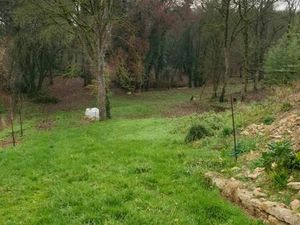 Terrain 4 700 m² Vars