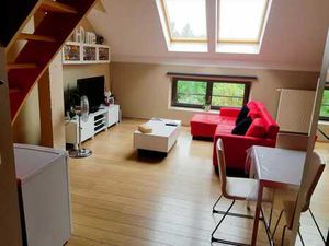 Appart 1 chambre Duplex  cuisine équipée + parking couvert