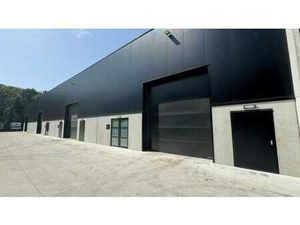 Nouvelle construction de hangar à louer à Buggenhout