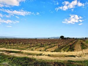 TERRAIN NON CONSTRUCTIBLE DE 14520 M2