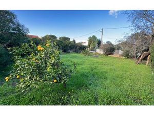 Terrain Fréjus m² T- à vendre  329 000 €