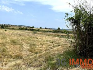 Vente terrain à Lespignan (34710)  29 999 €