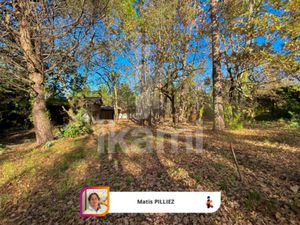 Terrain libre de constructeur 1287 m2 en lisière de forêt