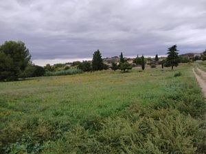 Vente terrain 284 m² à Ceyras (34800)  96 000 €